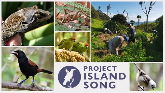 project-island-song Project Island Song